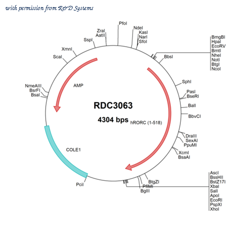 R&D Systems RDC3063 image 1