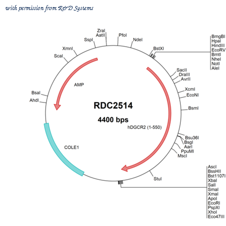 R&D Systems RDC2514 image 1