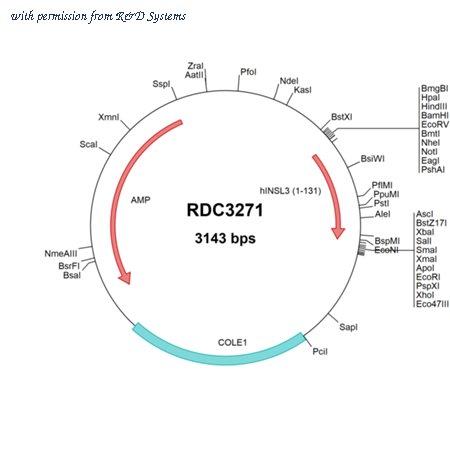 R&D Systems RDC3271 image 1