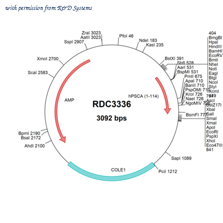R&D Systems RDC3336 image 1