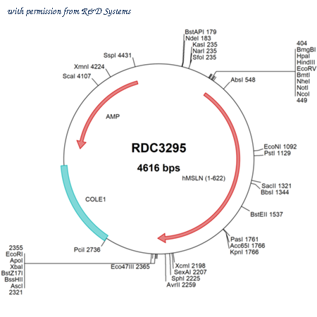 R&D Systems RDC3295 image 1