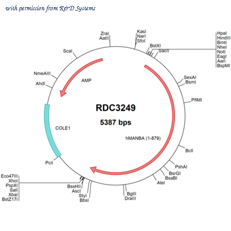 R&D Systems RDC3249 image 1