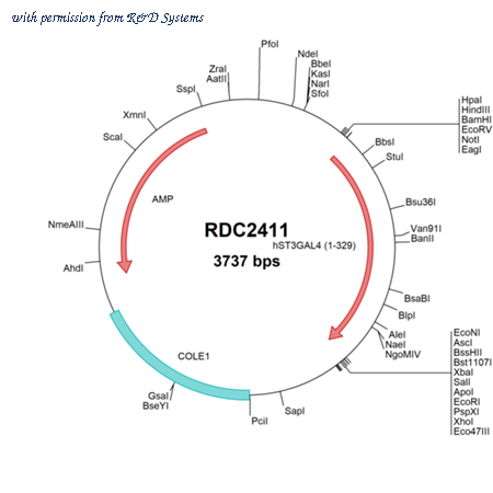 R&D Systems RDC2411 image 1