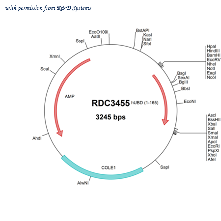 R&D Systems RDC3455 image 1