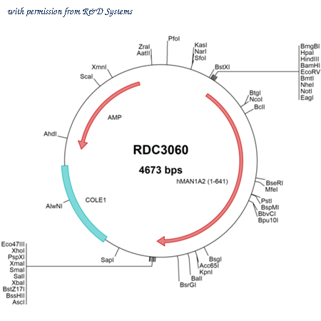 R&D Systems RDC3060 image 1