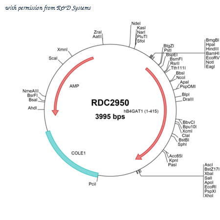 R&D Systems RDC2950 image 1