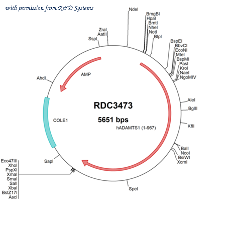 R&D Systems RDC3473 image 1