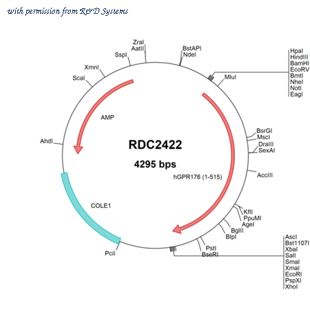 R&D Systems RDC2422 image 1