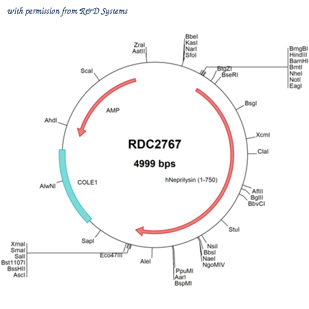 R&D Systems RDC2767 image 1
