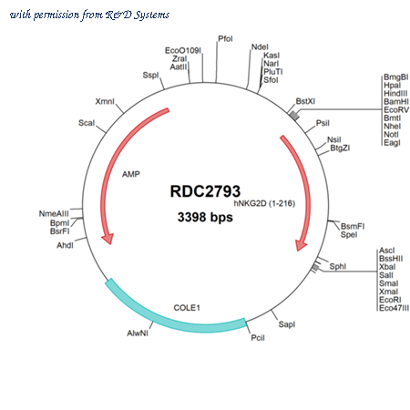 R&D Systems RDC2793 image 1