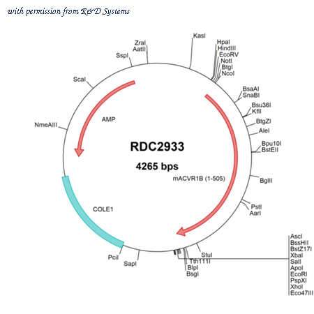 R&D Systems RDC2933 image 1