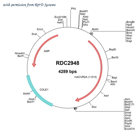 R&D Systems RDC2948 image 1