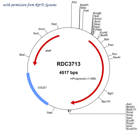 R&D Systems RDC3713 image 1