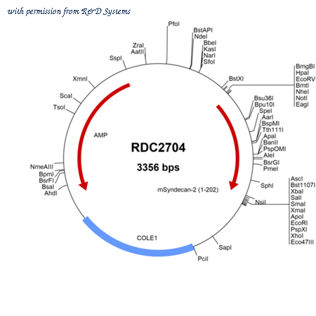 R&D Systems RDC2704 image 1