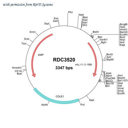 R&D Systems RDC3520 image 1