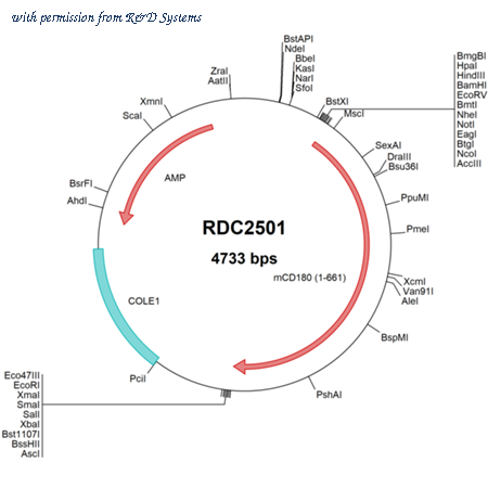 R&D Systems RDC2501 image 1