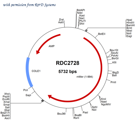 R&D Systems RDC2728 image 1