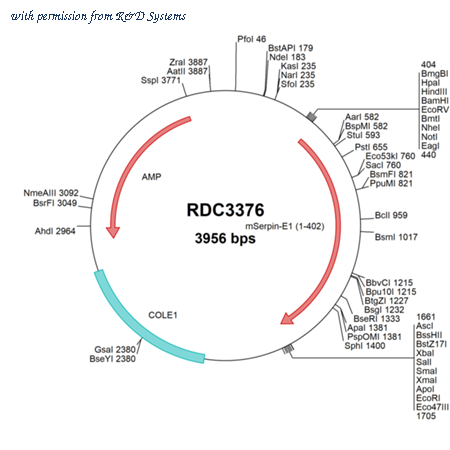 R&D Systems RDC3376 image 1