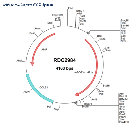 R&D Systems RDC2984 image 1