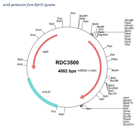 R&D Systems RDC3500 image 1