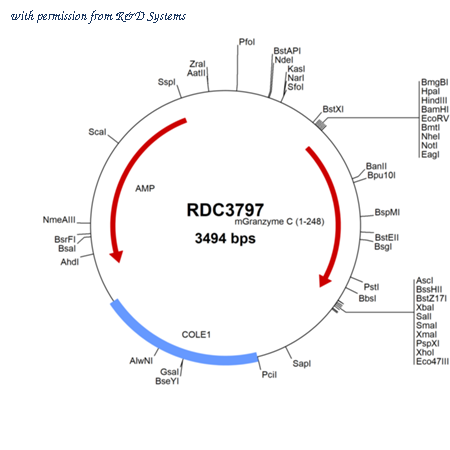 R&D Systems RDC3797 image 1
