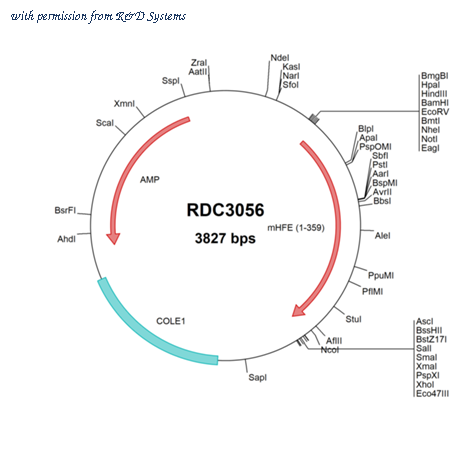 R&D Systems RDC3056 image 1