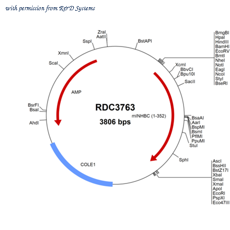 R&D Systems RDC3763 image 1