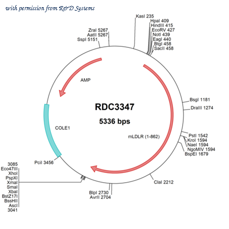 R&D Systems RDC3347 image 1
