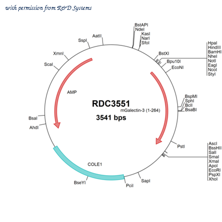R&D Systems RDC3551 image 1