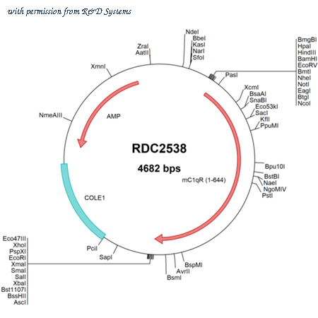 R&D Systems RDC2538 image 1