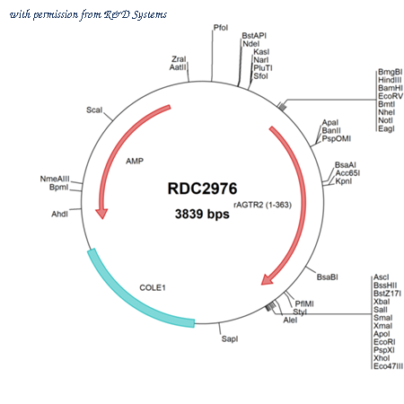 R&D Systems RDC2976 image 1