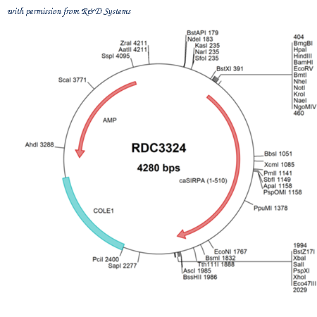 R&D Systems RDC3324 image 1