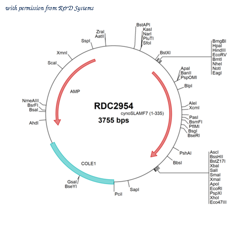 R&D Systems RDC2954 image 1