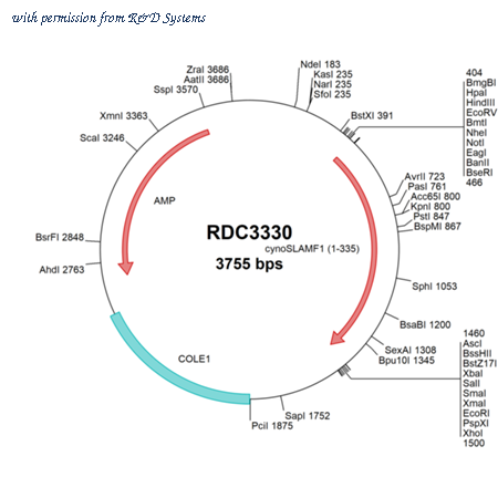 R&D Systems RDC3330 image 1