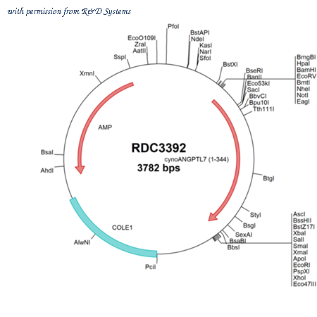 R&D Systems RDC3392 image 1