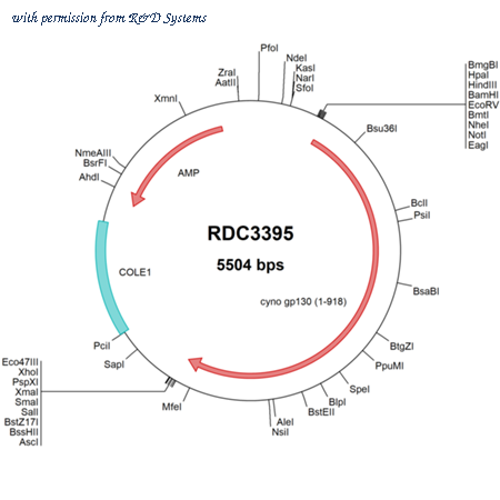 R&D Systems RDC3395 image 1