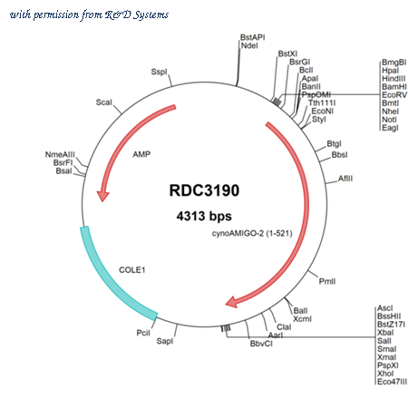 R&D Systems RDC3190 image 1