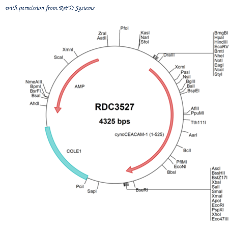 R&D Systems RDC3527 image 1