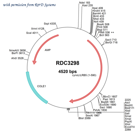 R&D Systems RDC3298 image 1