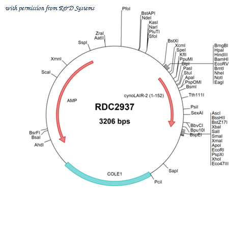 R&D Systems RDC2937 image 1