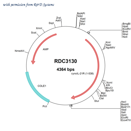 R&D Systems RDC3130 image 1