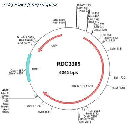 R&D Systems RDC3305 image 1
