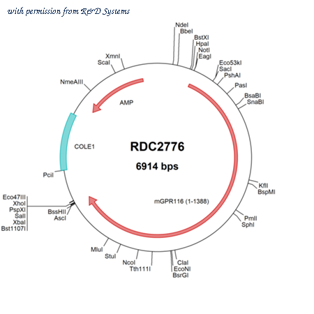 R&D Systems RDC2776 image 1
