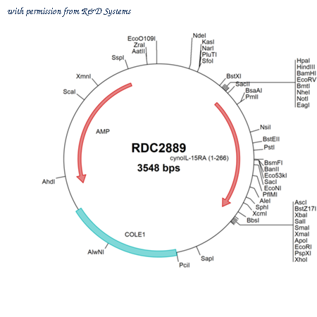 R&D Systems RDC2889 image 1