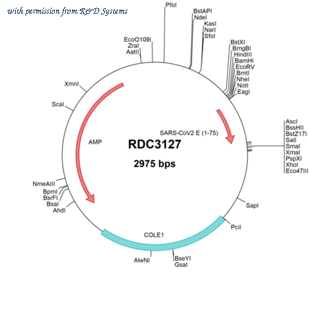 R&D Systems RDC3127 image 1