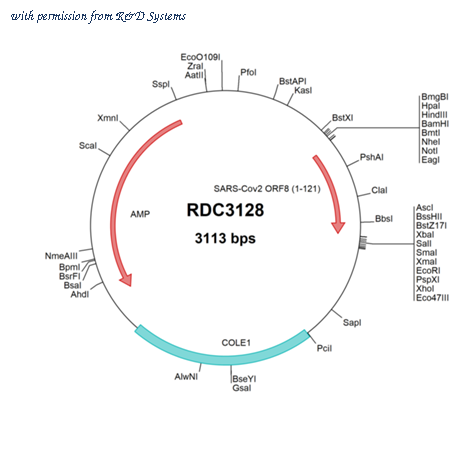 R&D Systems RDC3128 image 1
