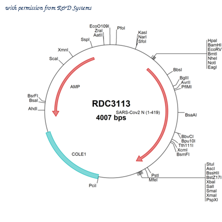 R&D Systems RDC3113 image 1