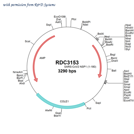 R&D Systems RDC3153 image 1