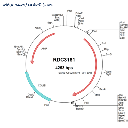 R&D Systems RDC3161 image 1