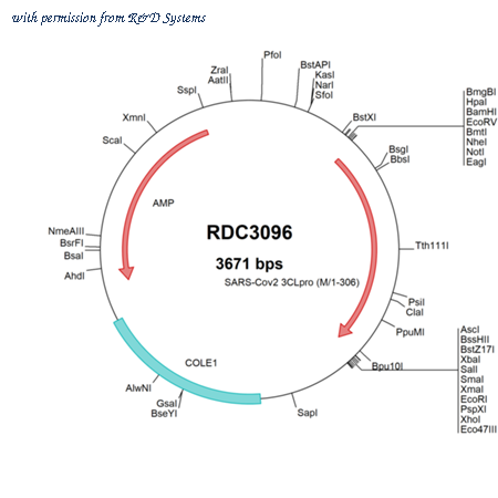 R&D Systems RDC3096 image 1